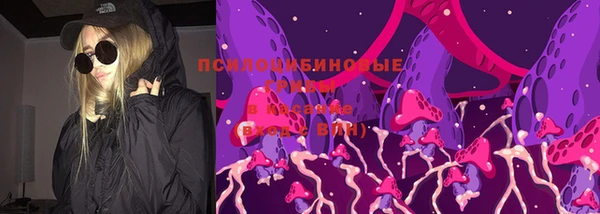 ПСИЛОЦИБИНОВЫЕ ГРИБЫ Армянск