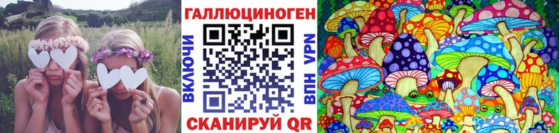 ссылка на мегу ONION Кологрив Галлюциногенные грибы Cubensis где купить